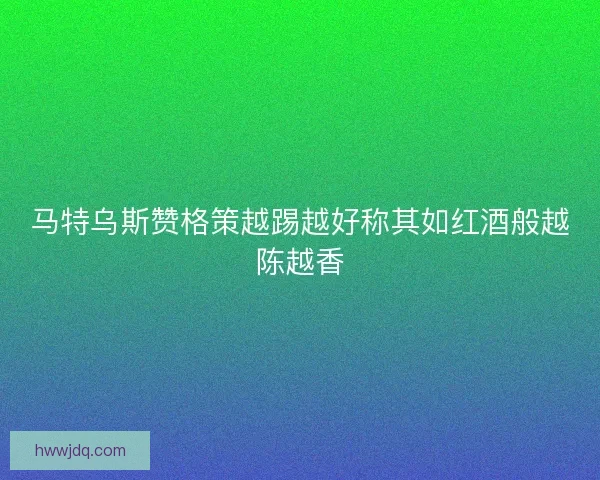 马特乌斯赞格策越踢越好称其如红酒般越陈越香 马特乌斯赞格策越踢越好称其如红酒般越陈越香